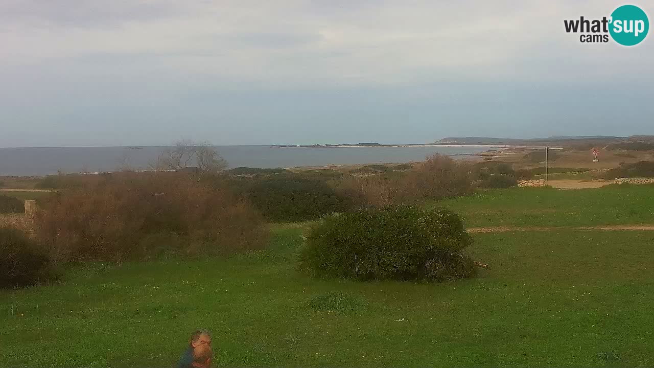 Spiaggia Mari Ermi | Is Arutas – Oristano