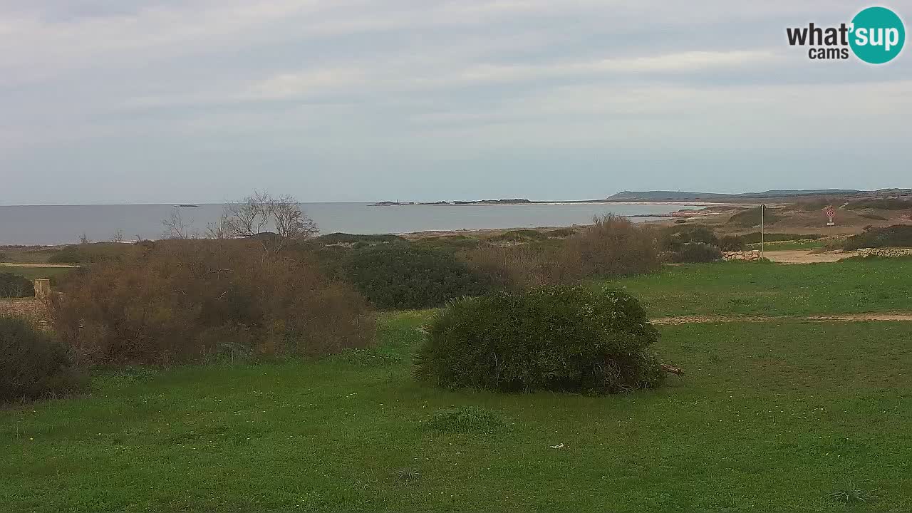 Spiaggia Mari Ermi | Is Arutas – Oristano