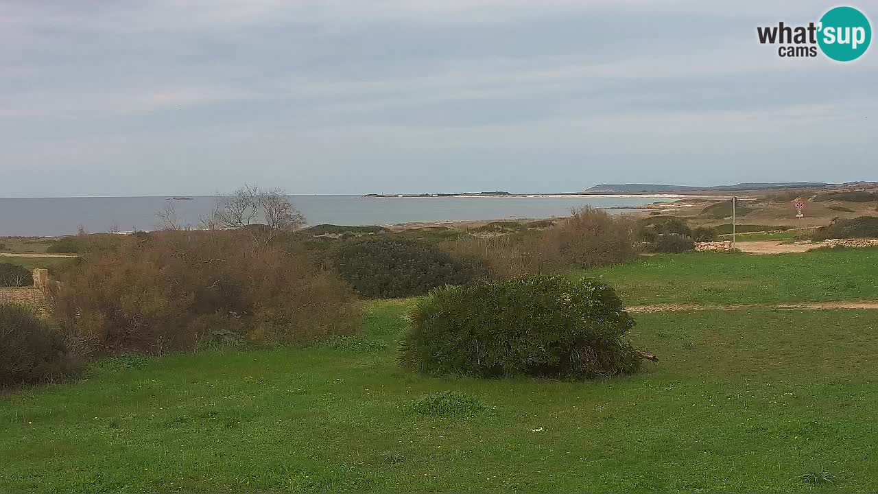 Spiaggia Mari Ermi | Is Arutas – Oristano