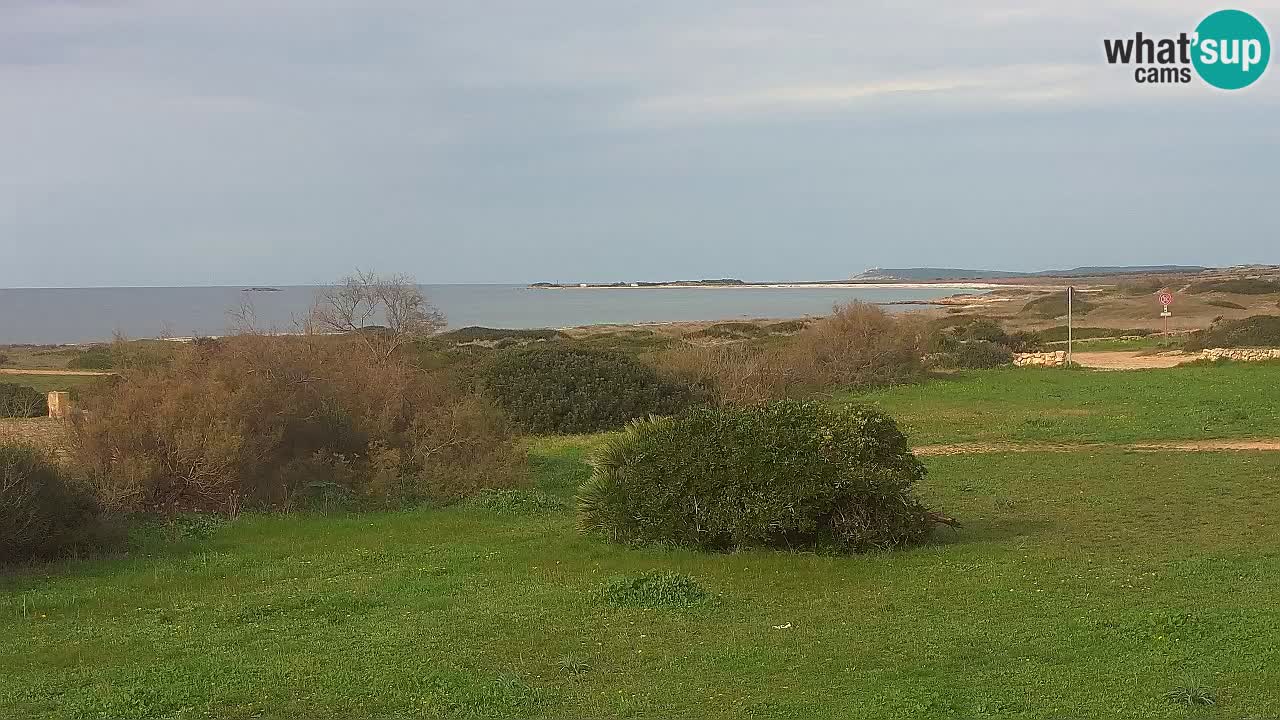 Spiaggia Mari Ermi | Is Arutas – Oristano