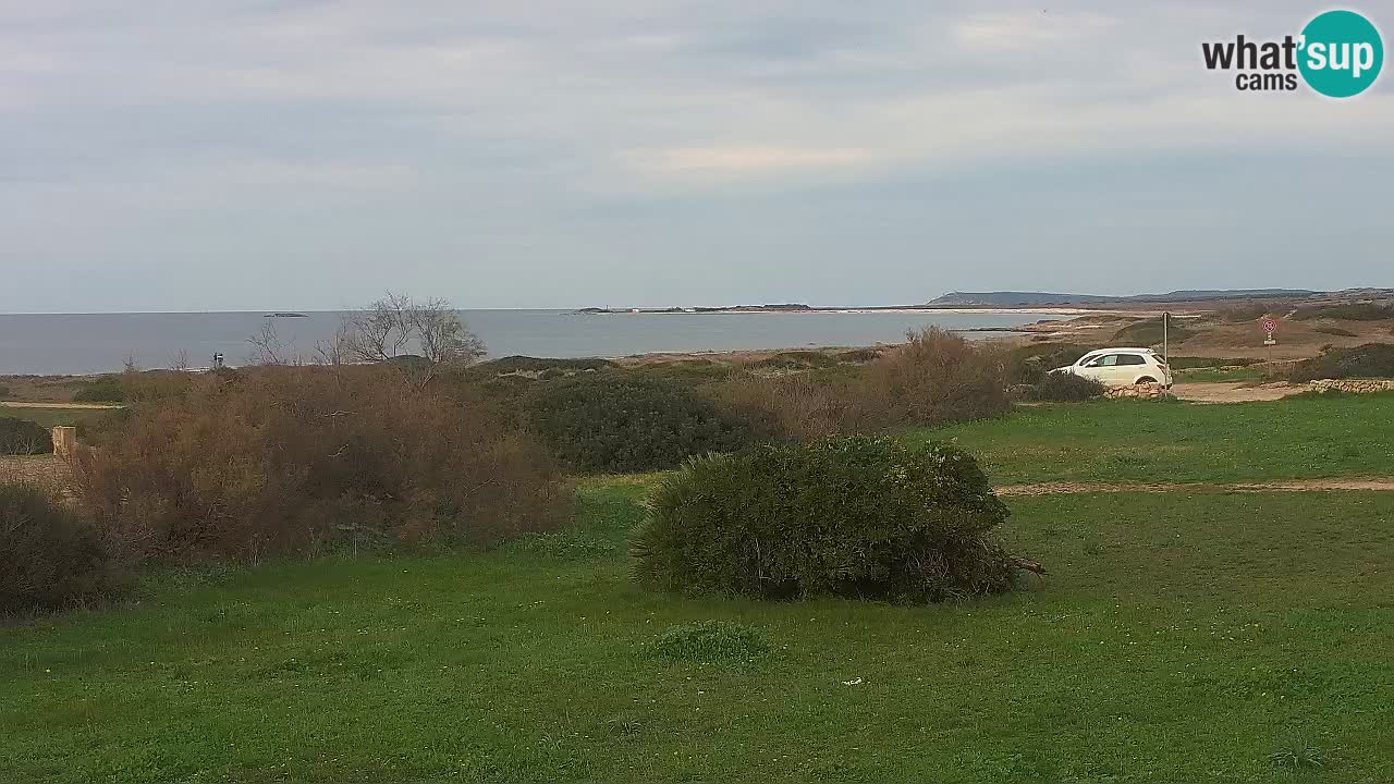 Mari Ermi Strand | Is Arutas – Oristano