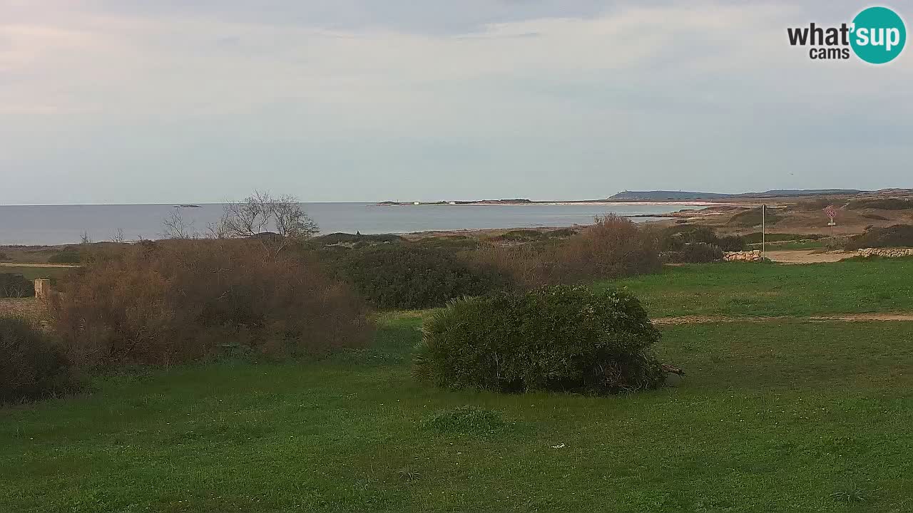 Spiaggia Mari Ermi | Is Arutas – Oristano