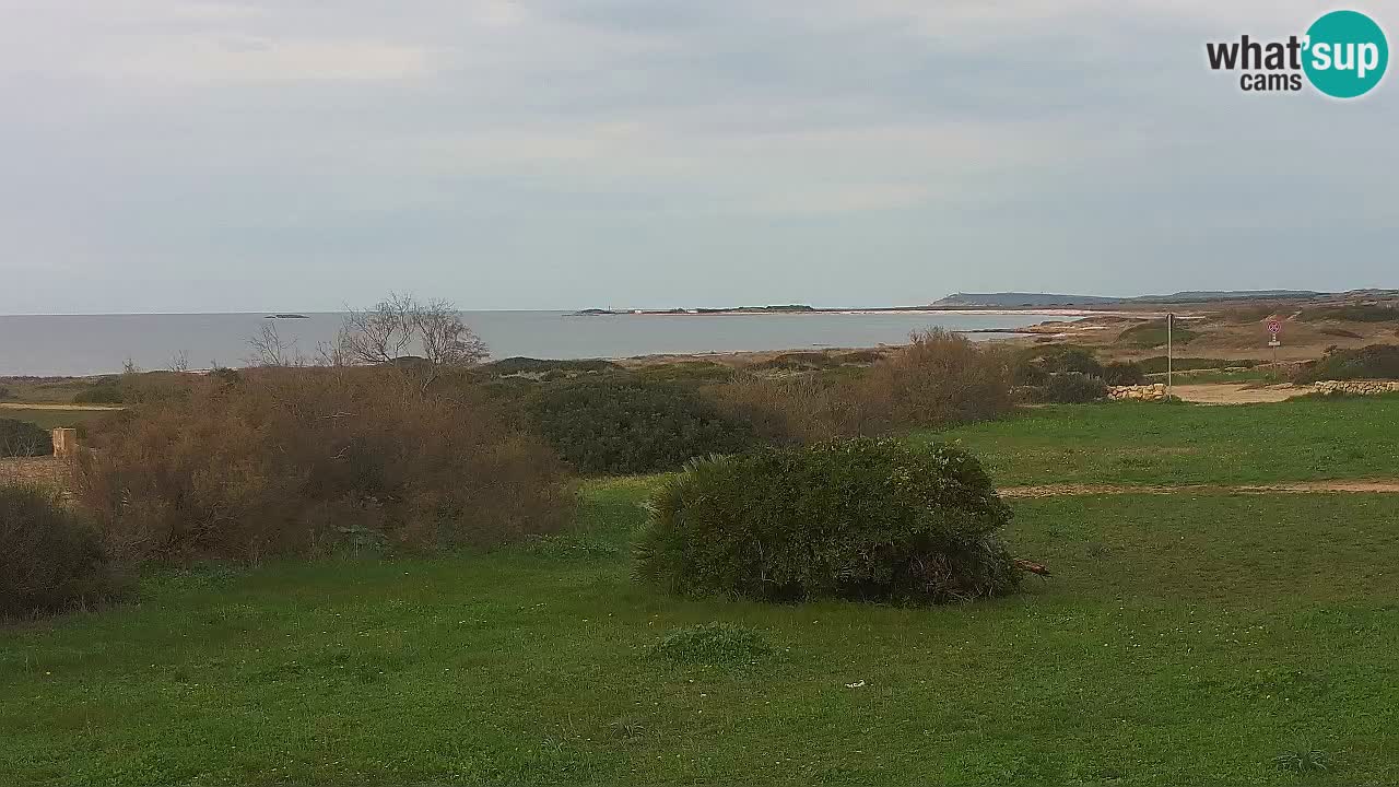 Mari Ermi Strand | Is Arutas – Oristano