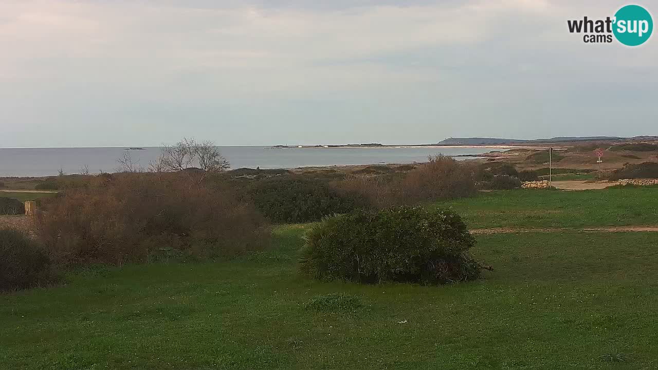 Plage Mari Ermi | Is Arutas – Oristano