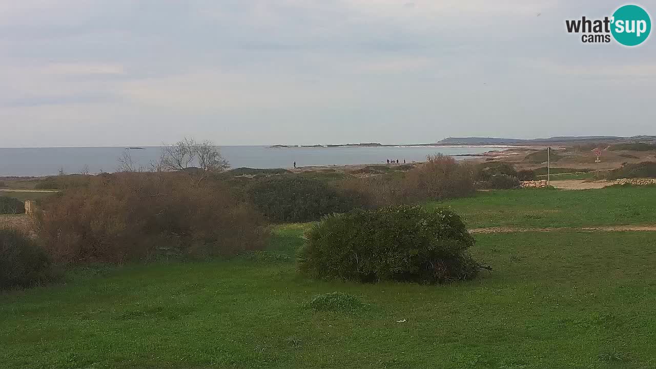 Mari Ermi Strand | Is Arutas – Oristano