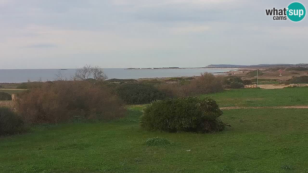 Plage Mari Ermi | Is Arutas – Oristano