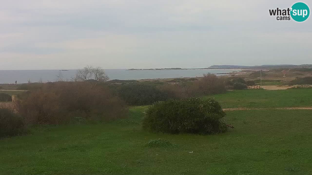 Plaža Mari Ermi | Is Arutas – Oristano