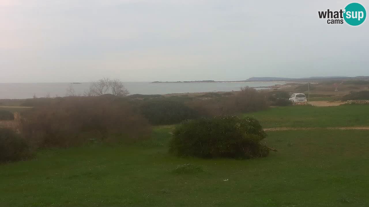 Mari Ermi Strand | Is Arutas – Oristano