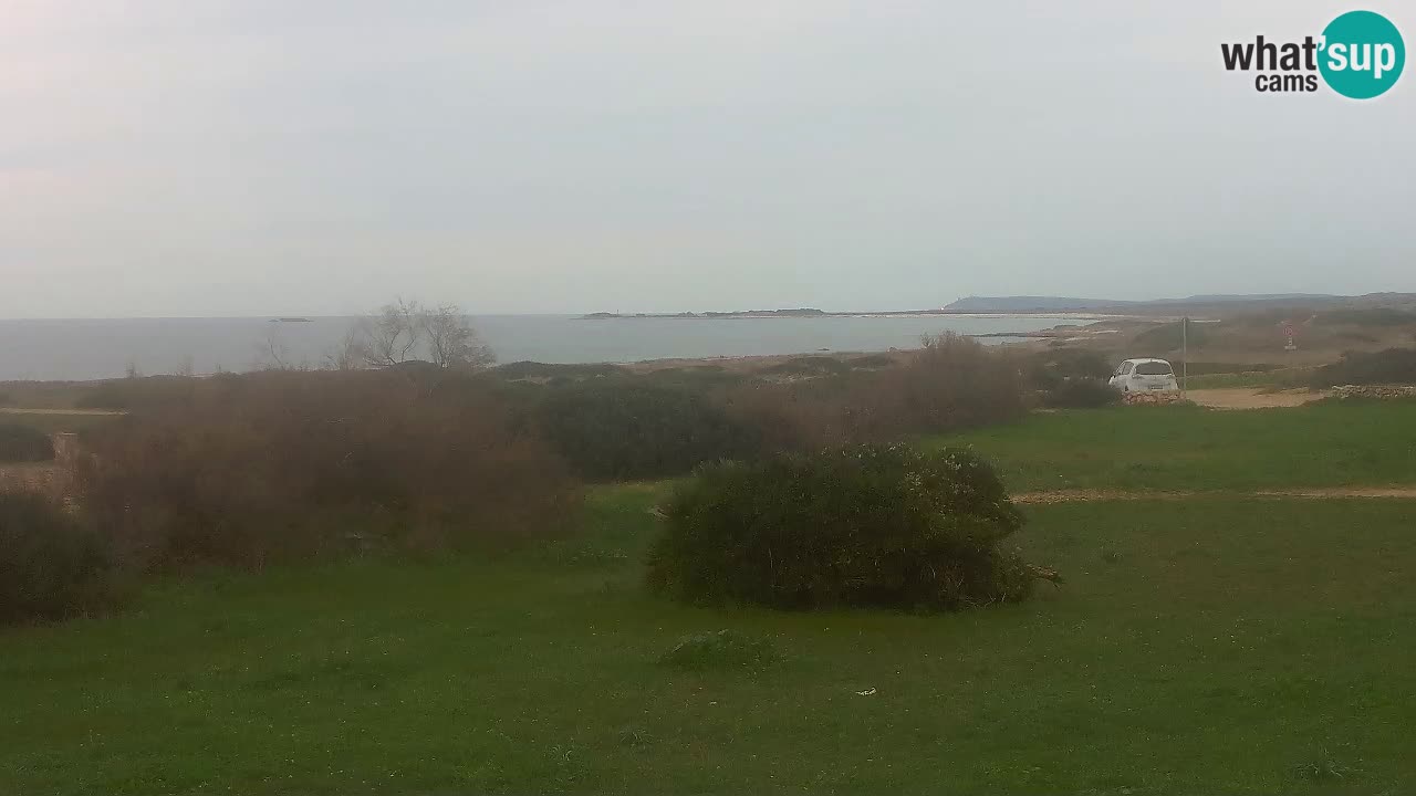 Plaža Mari Ermi | Is Arutas – Oristano