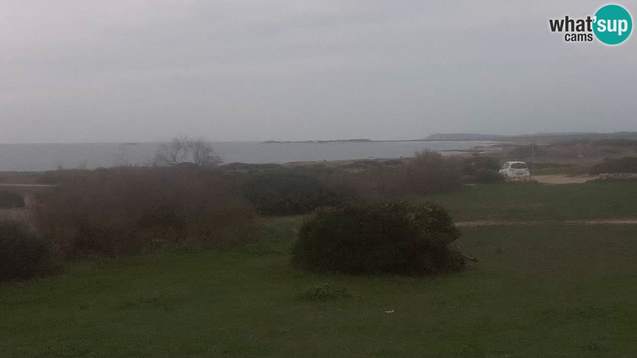 Mari Ermi beach | Is Arutas – Oristano