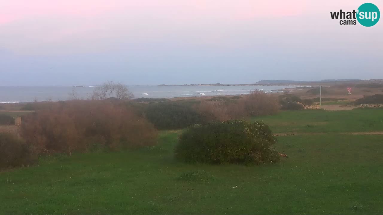 Mari Ermi Strand | Is Arutas – Oristano