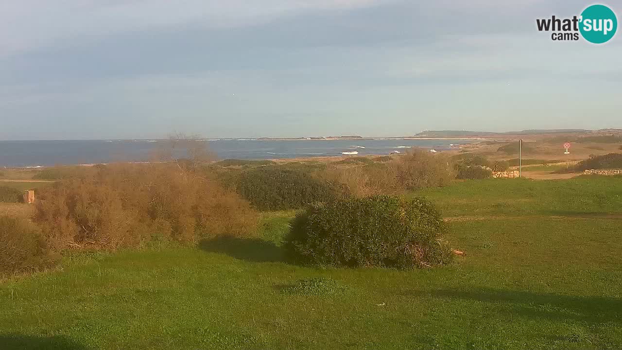 Mari Ermi Strand | Is Arutas – Oristano