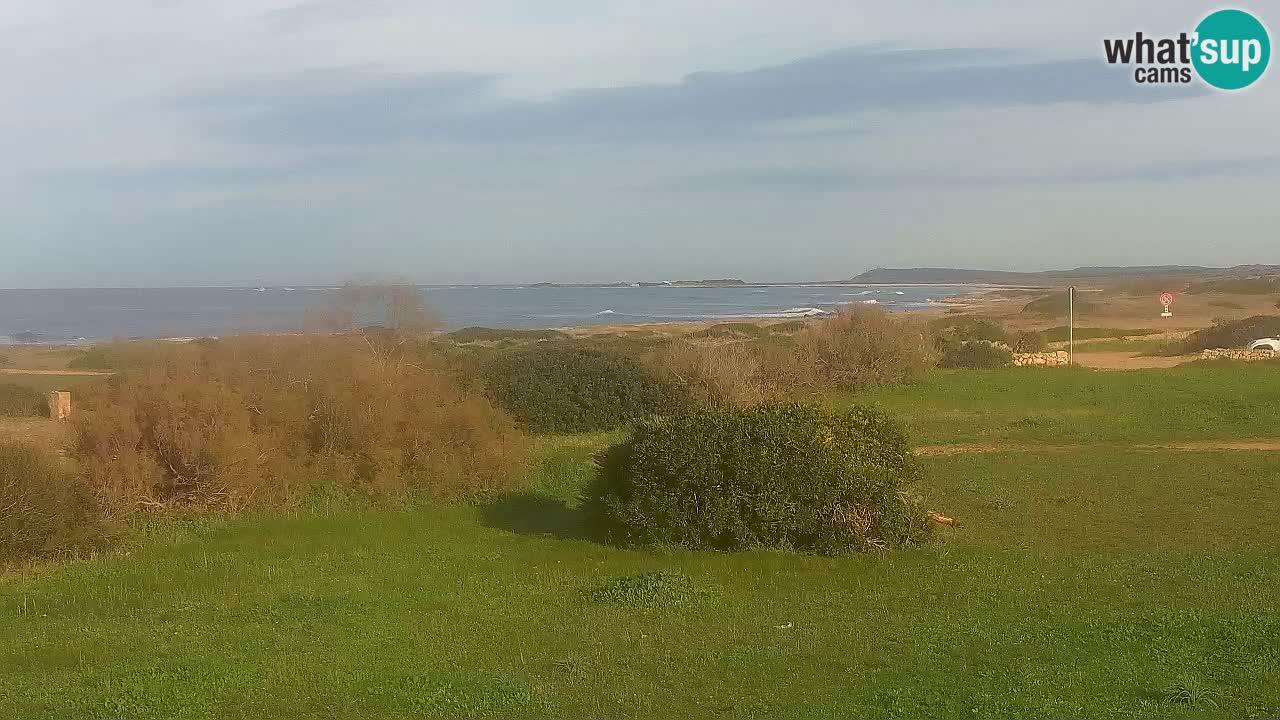 Plage Mari Ermi | Is Arutas – Oristano