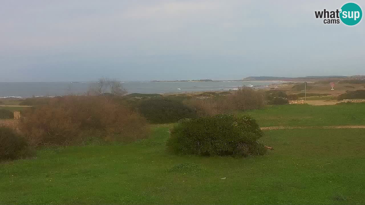 Mari Ermi Strand | Is Arutas – Oristano