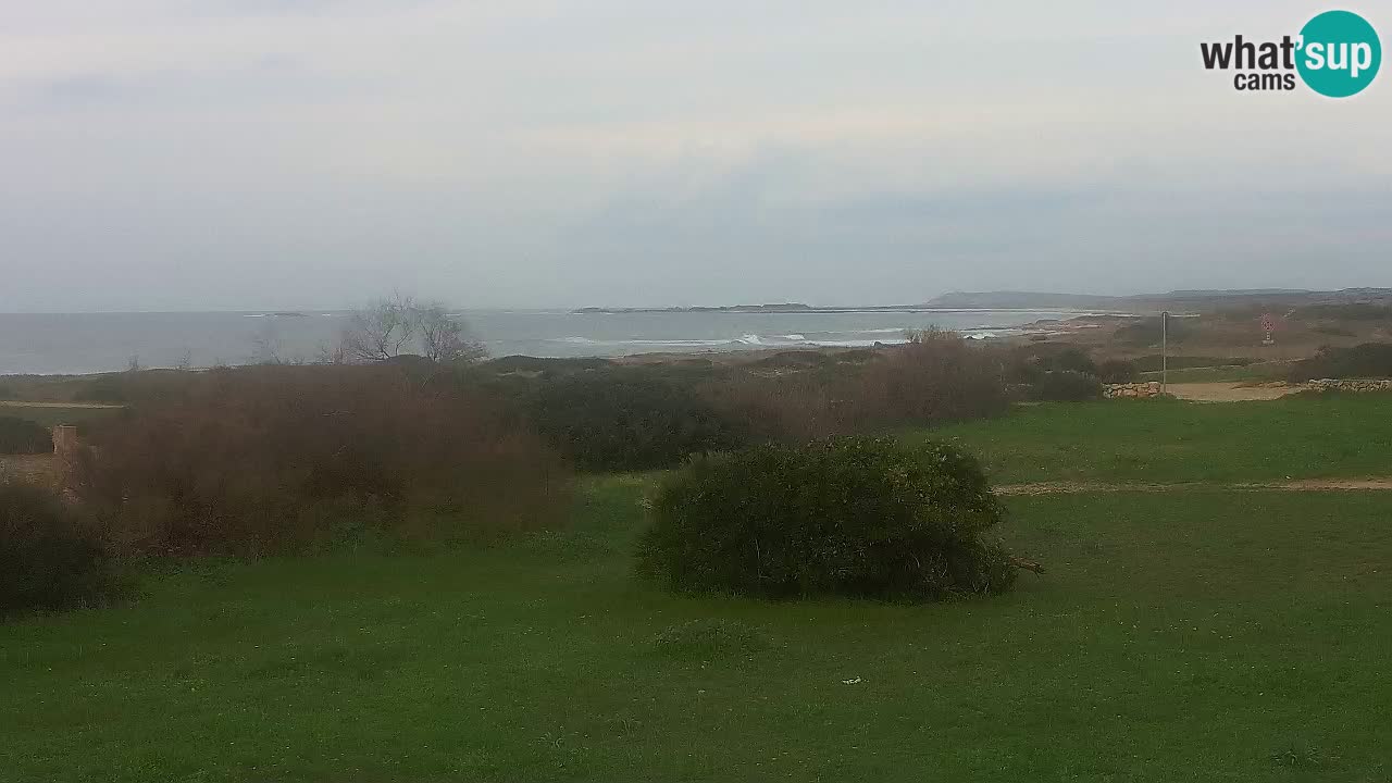 Plaža Mari Ermi | Is Arutas – Oristano