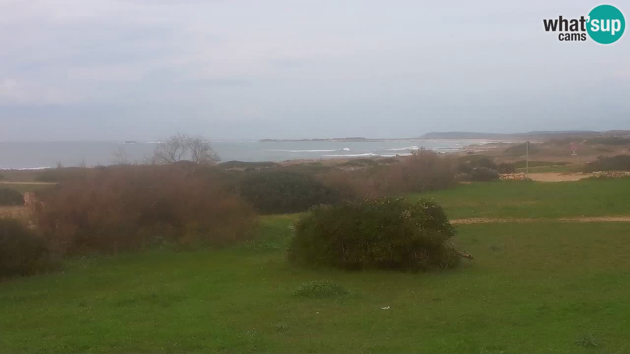 Plaža Mari Ermi | Is Arutas – Oristano