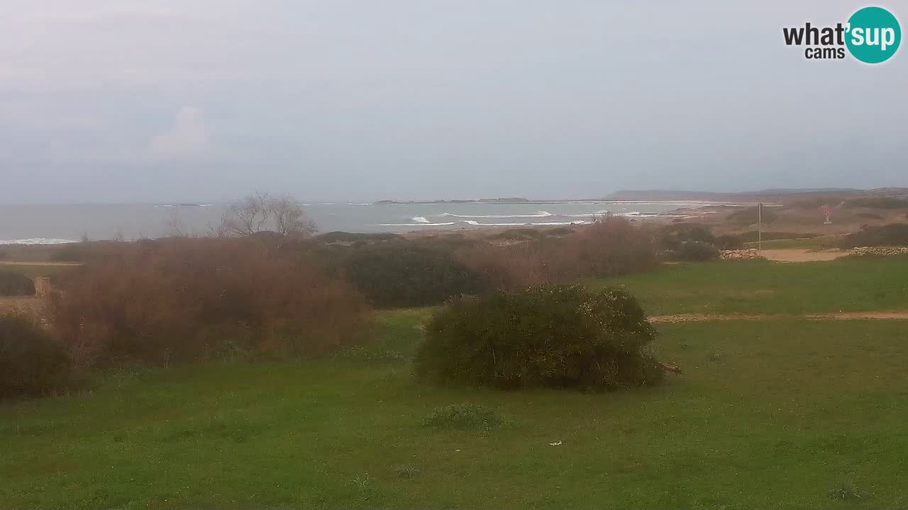 Plaža Mari Ermi | Is Arutas – Oristano