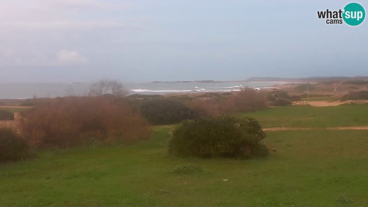 Plaža Mari Ermi | Is Arutas – Oristano