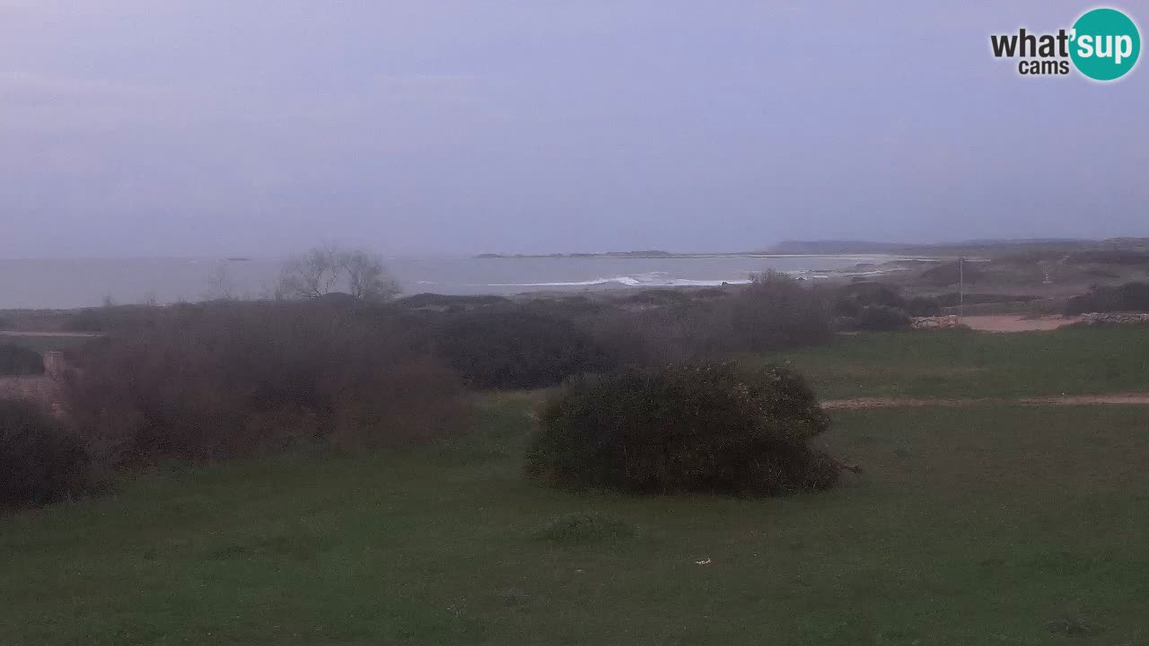 Plaža Mari Ermi | Is Arutas – Oristano