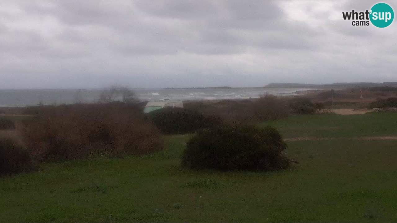 Playa Mari Ermi | Is Arutas – Oristano