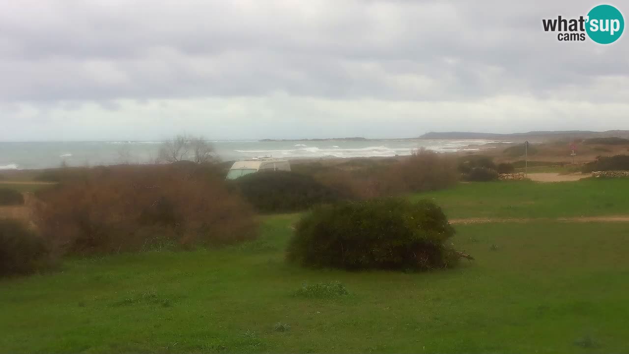 Spiaggia Mari Ermi | Is Arutas – Oristano