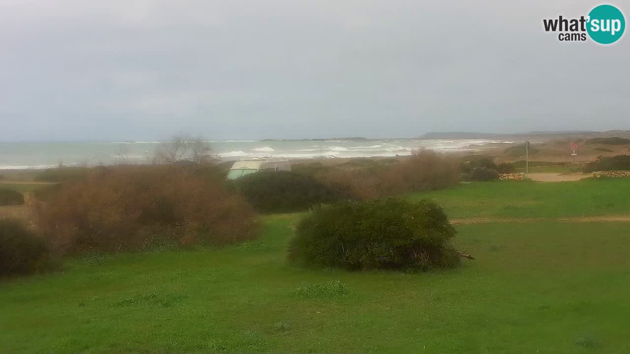Spiaggia Mari Ermi | Is Arutas – Oristano