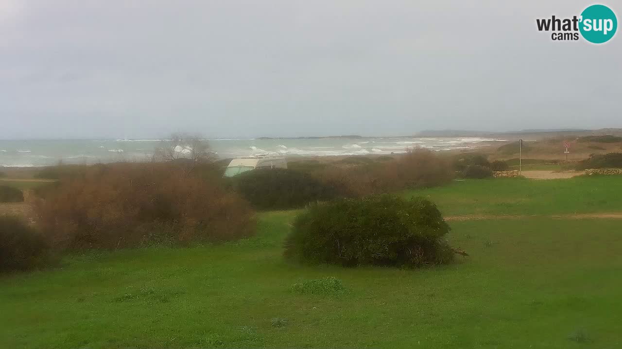 Spiaggia Mari Ermi | Is Arutas – Oristano
