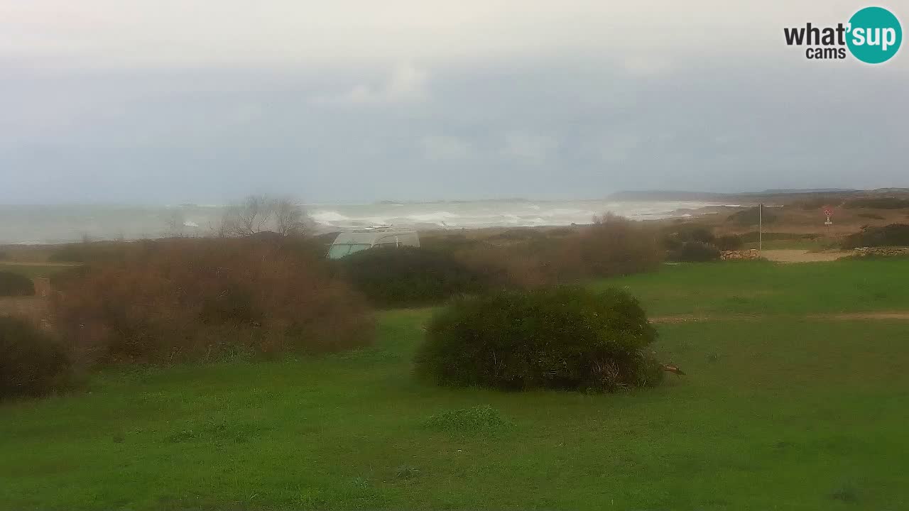 Playa Mari Ermi | Is Arutas – Oristano