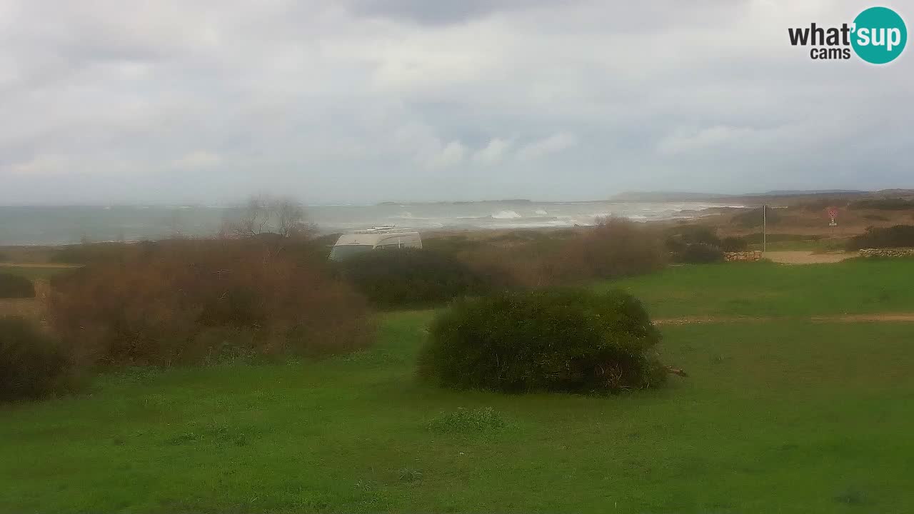 Playa Mari Ermi | Is Arutas – Oristano