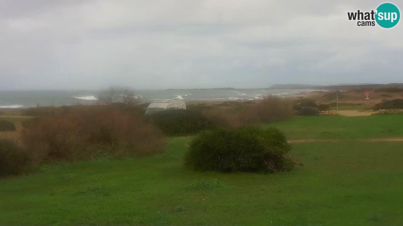 Plaža Mari Ermi | Is Arutas – Oristano