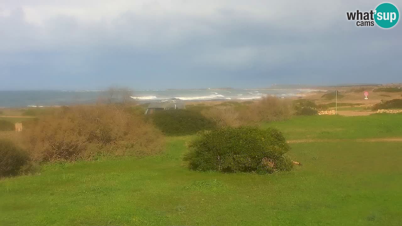 Playa Mari Ermi | Is Arutas – Oristano