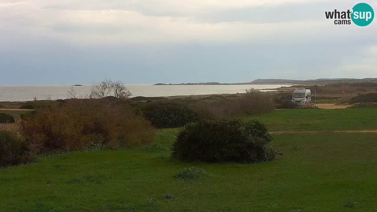 Mari Ermi Strand | Is Arutas – Oristano