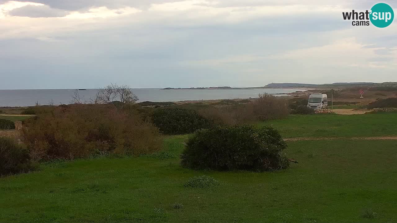 Plaža Mari Ermi | Is Arutas – Oristano