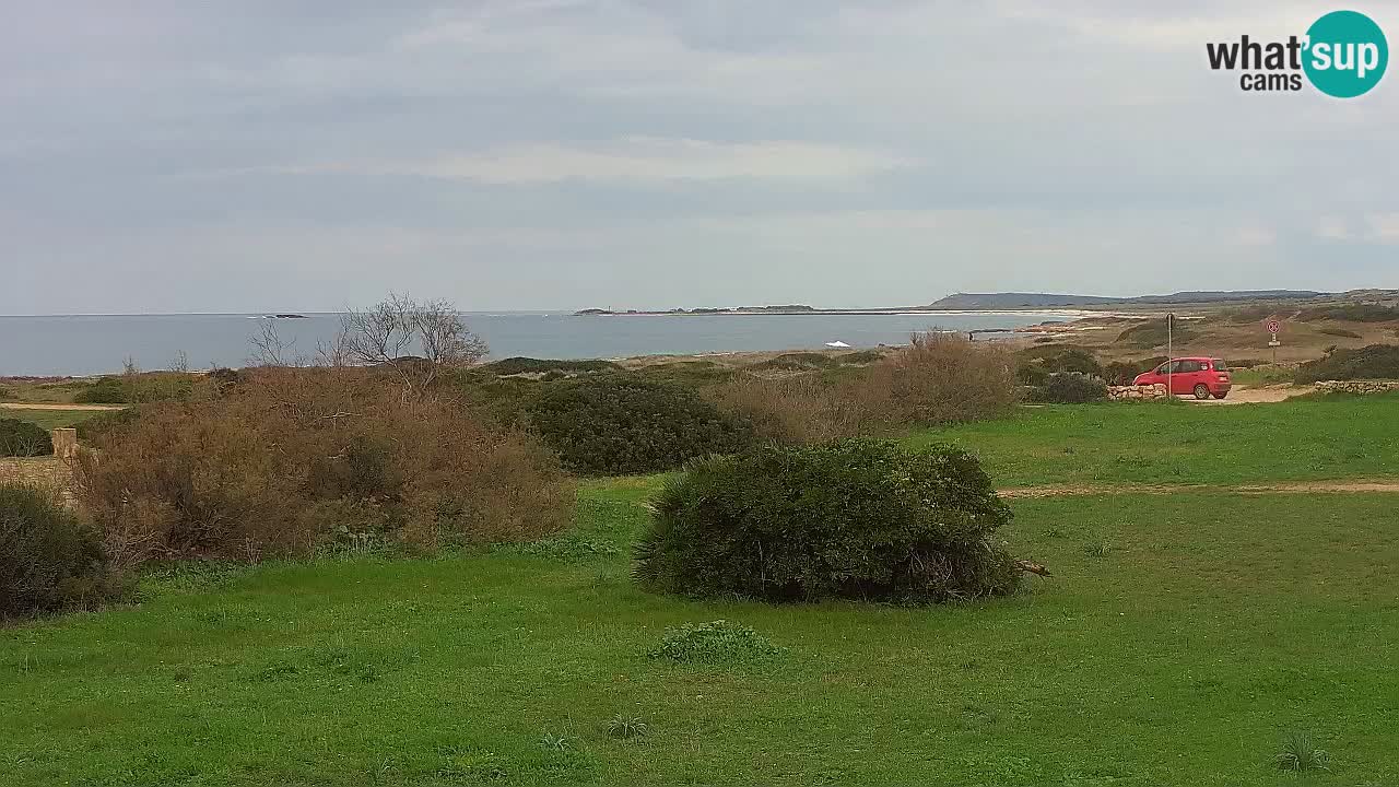 Mari Ermi Strand | Is Arutas – Oristano