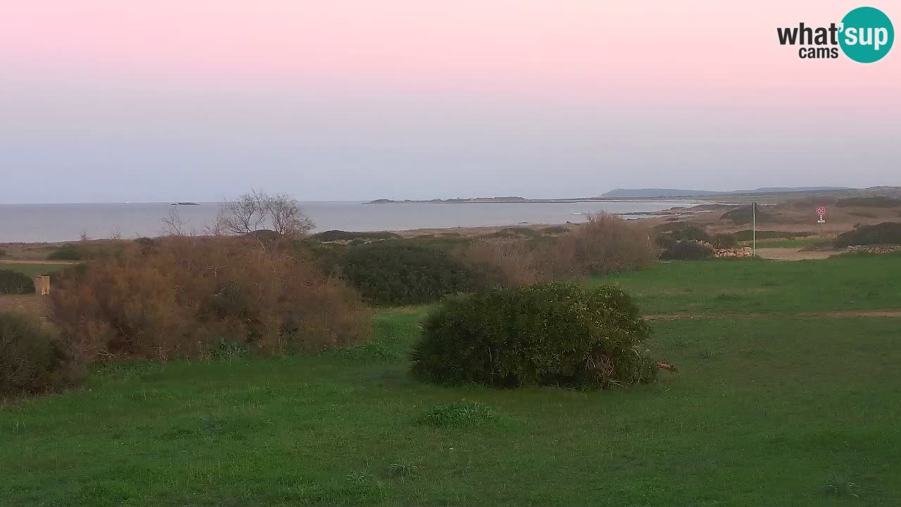 Spiaggia Mari Ermi | Is Arutas – Oristano