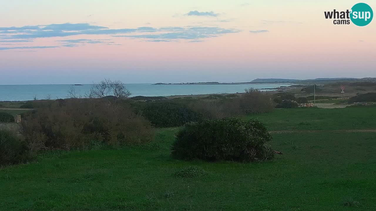 Mari Ermi Strand | Is Arutas – Oristano