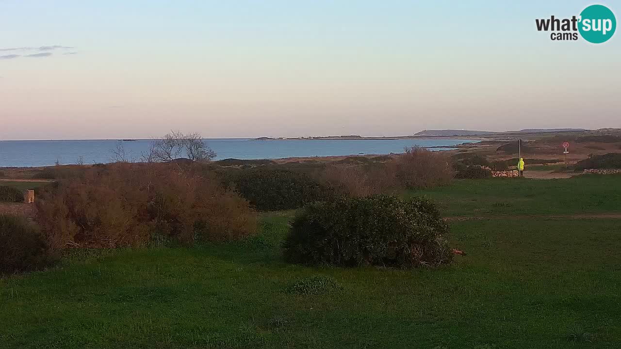 Mari Ermi Strand | Is Arutas – Oristano