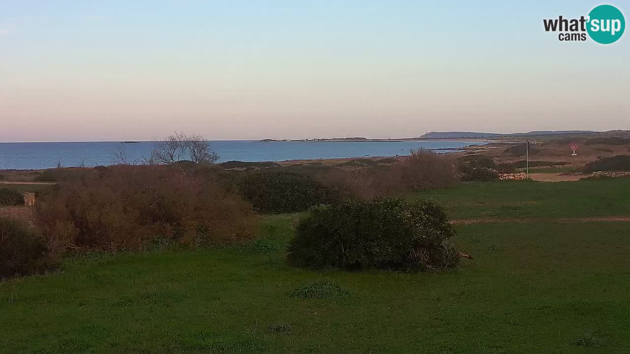 Mari Ermi Strand | Is Arutas – Oristano