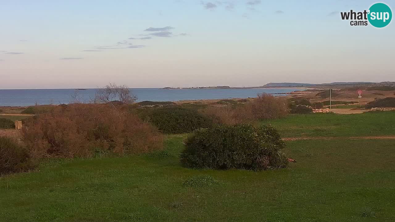 Mari Ermi Strand | Is Arutas – Oristano