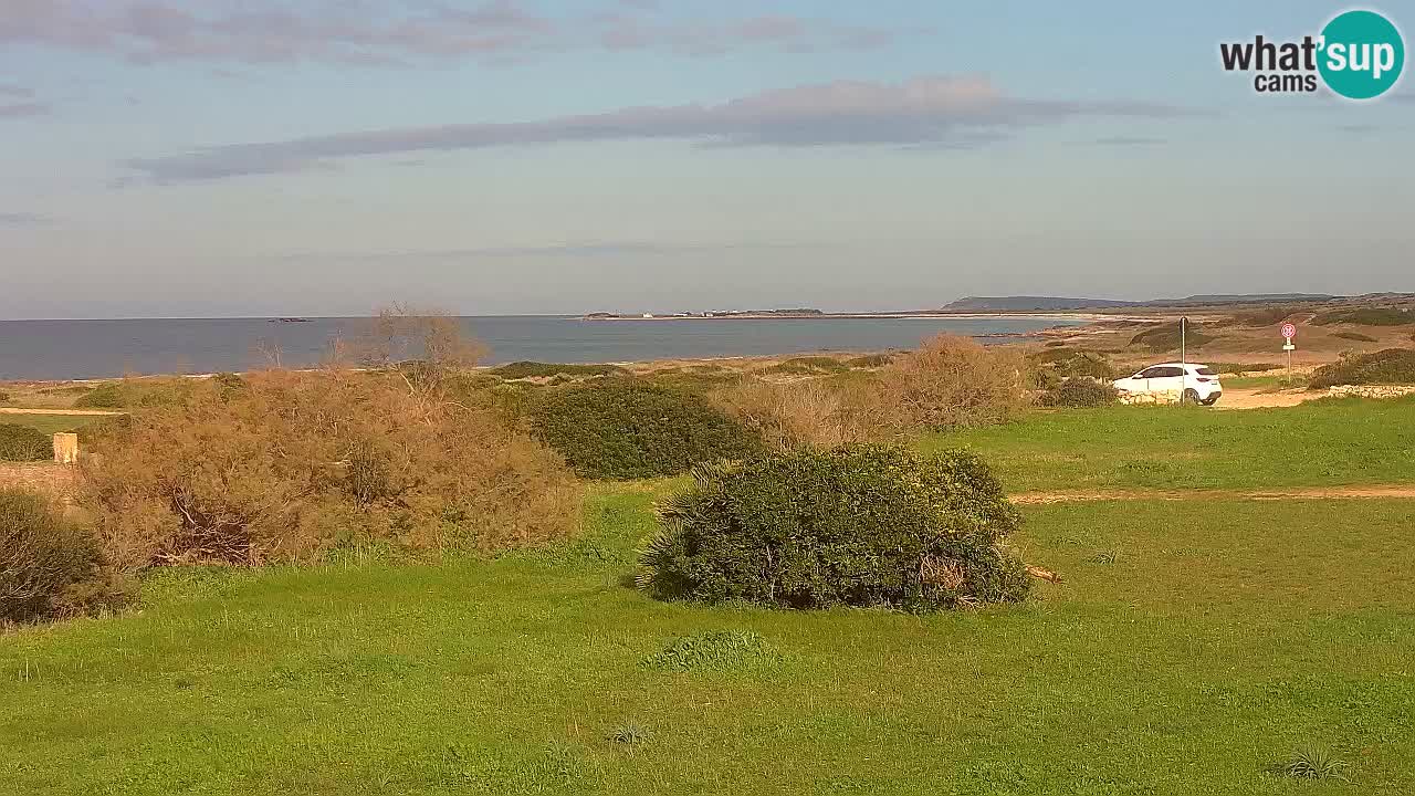 Mari Ermi Strand | Is Arutas – Oristano