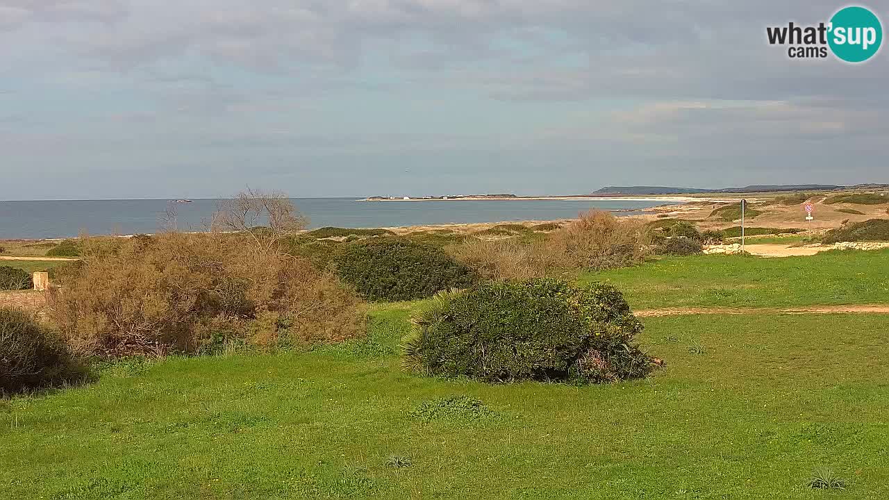 Plage Mari Ermi | Is Arutas – Oristano