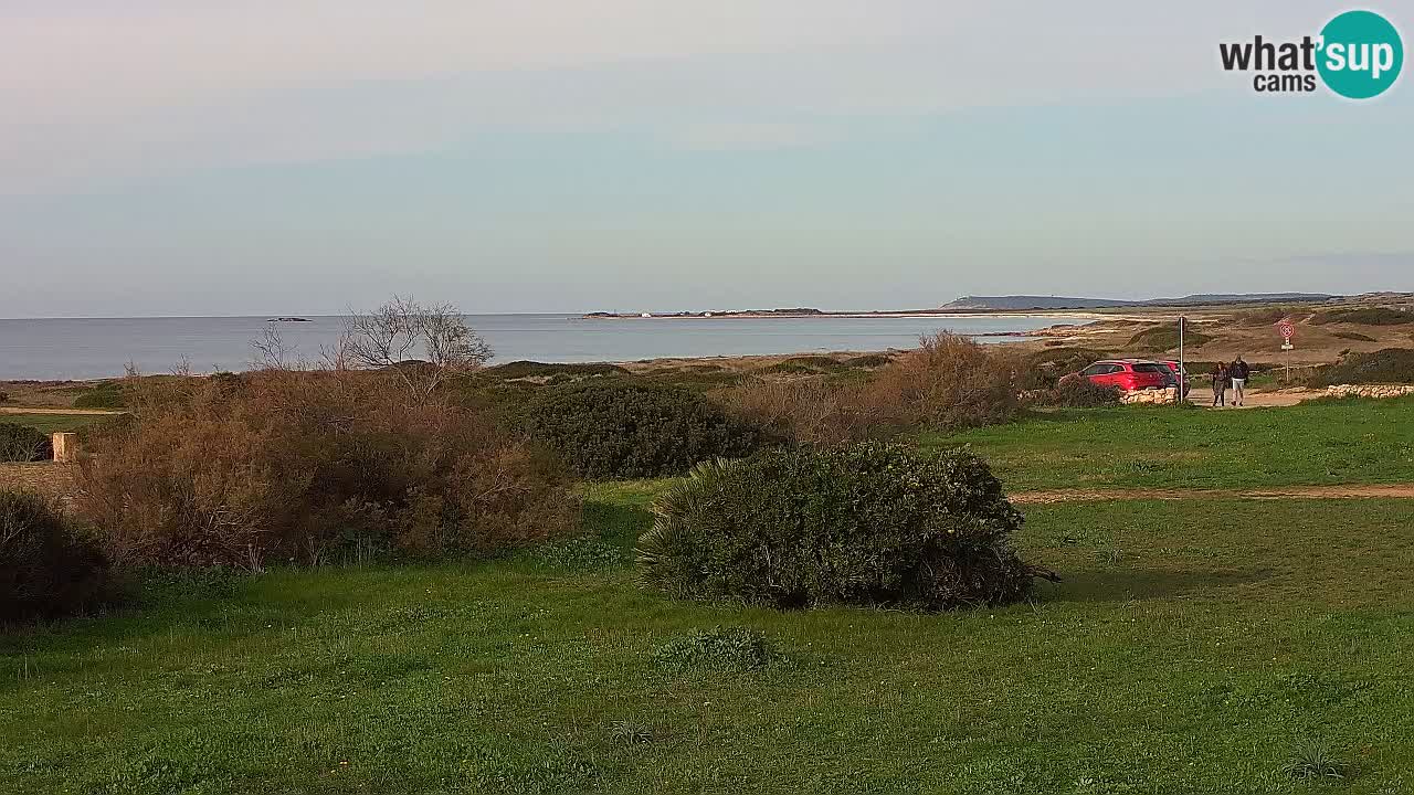 Plaža Mari Ermi | Is Arutas – Oristano