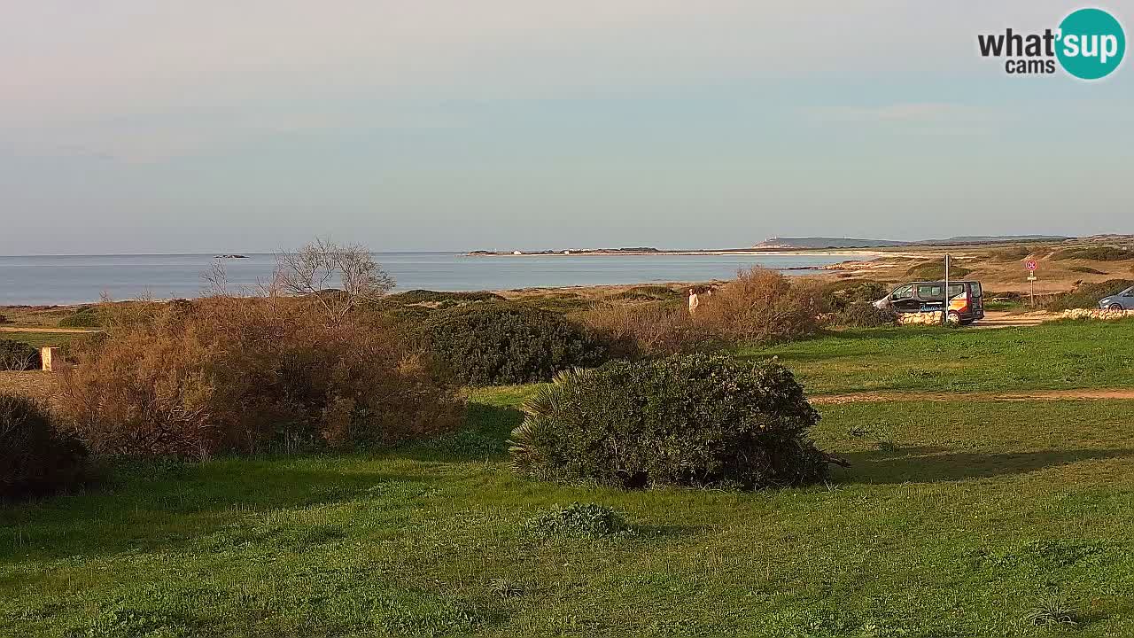 Mari Ermi beach | Is Arutas – Oristano