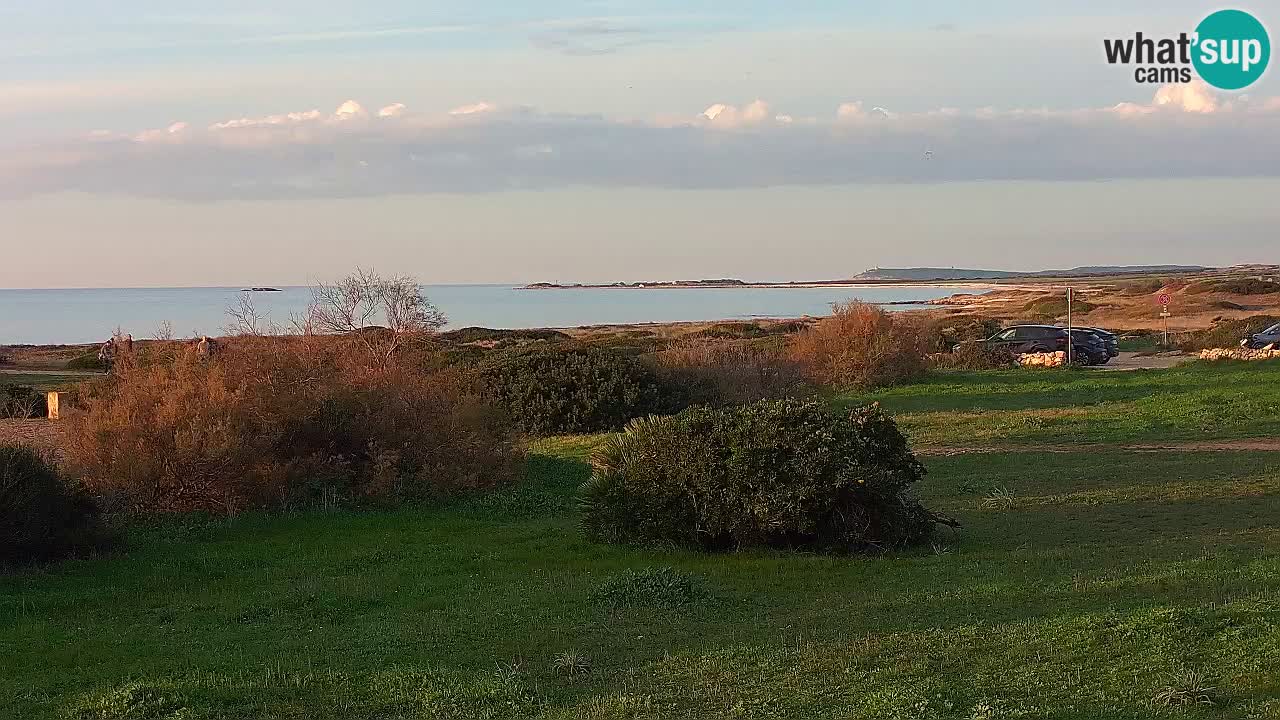 Mari Ermi beach | Is Arutas – Oristano