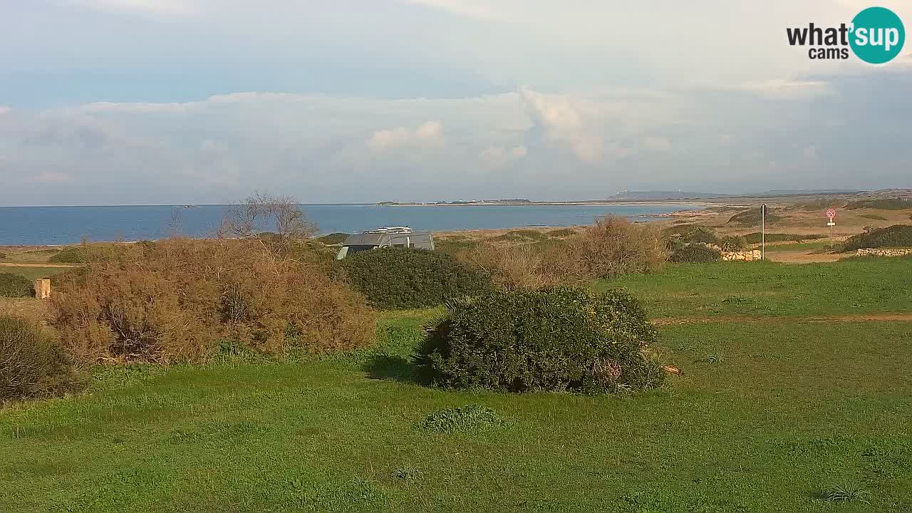 Mari Ermi Strand | Is Arutas – Oristano