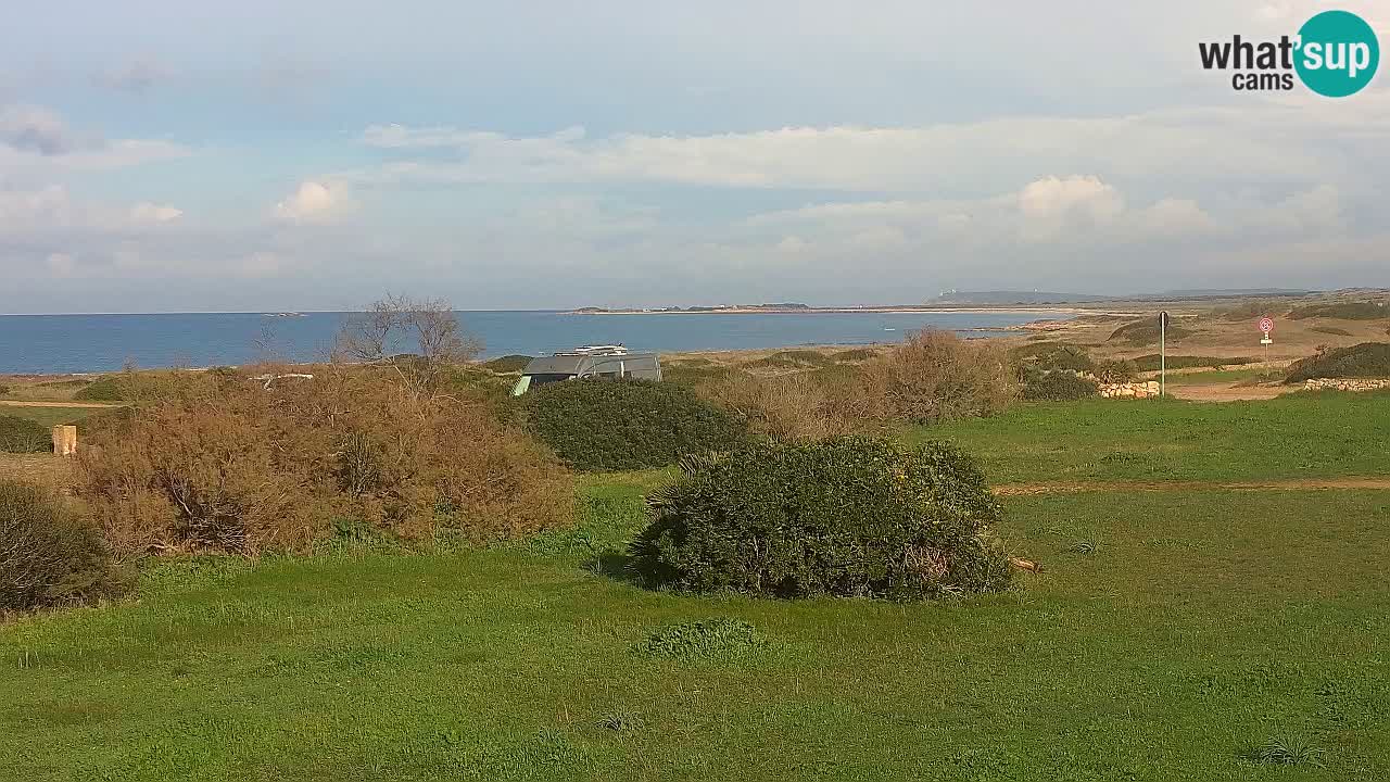 Mari Ermi Strand | Is Arutas – Oristano