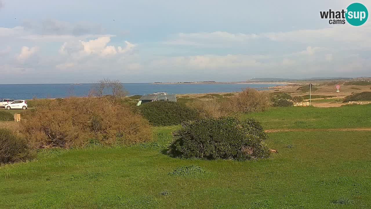 Spiaggia Mari Ermi | Is Arutas – Oristano