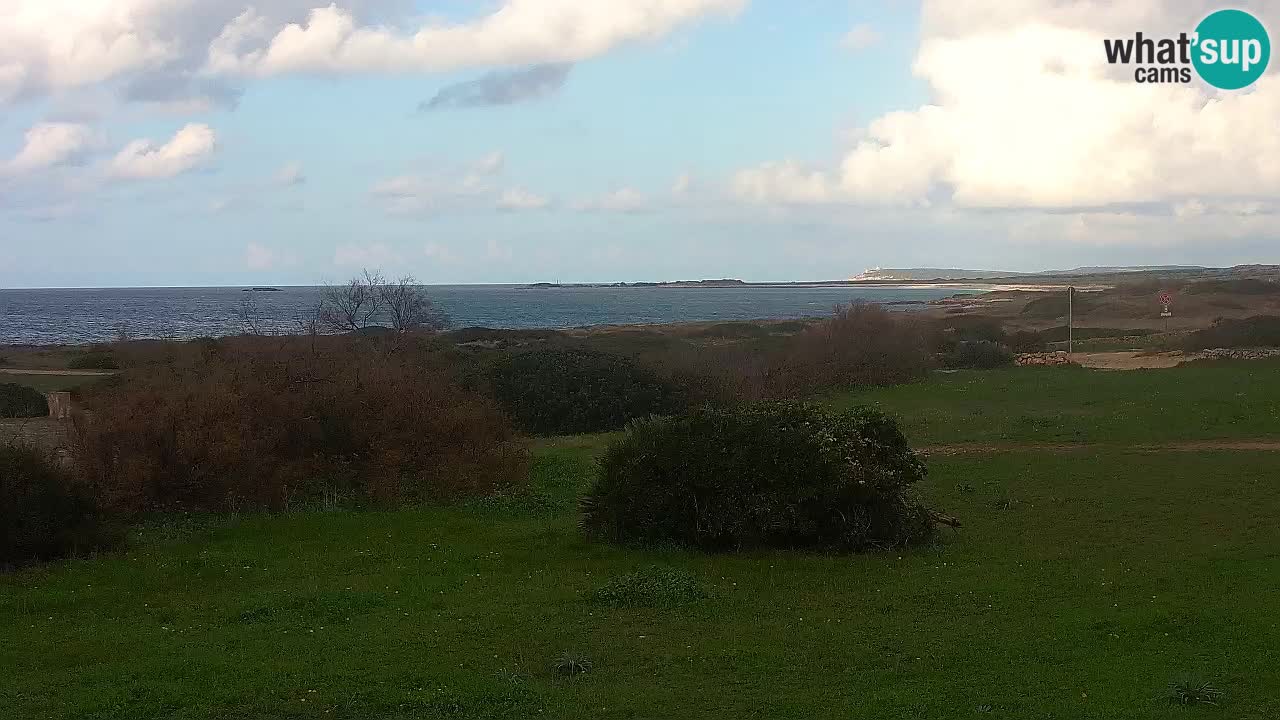 Plaža Mari Ermi | Is Arutas – Oristano