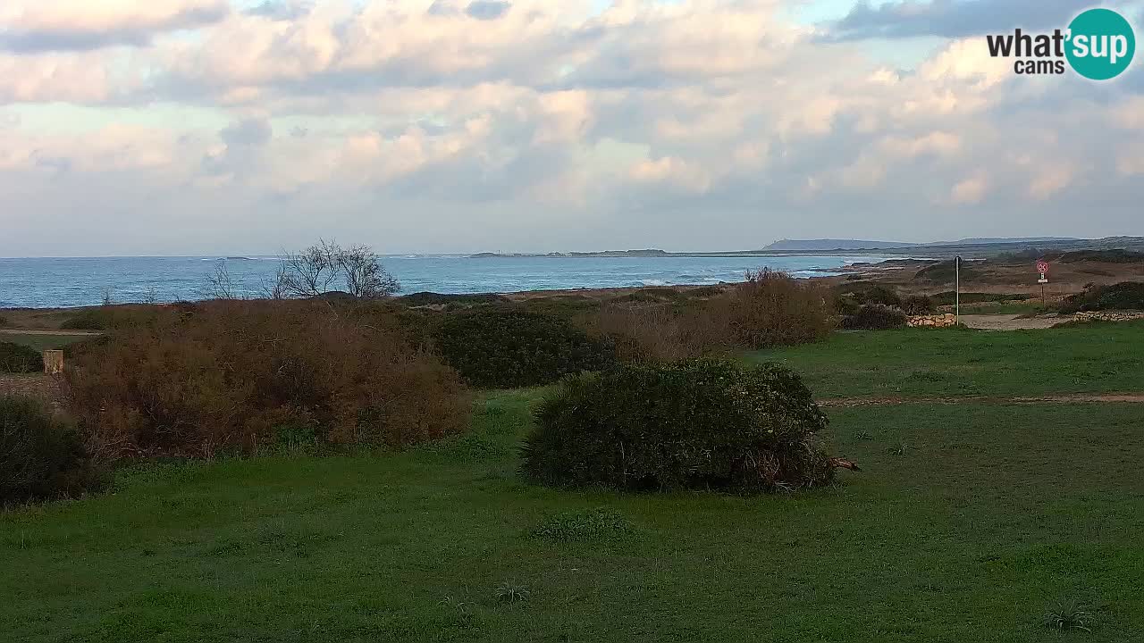 Mari Ermi beach | Is Arutas – Oristano