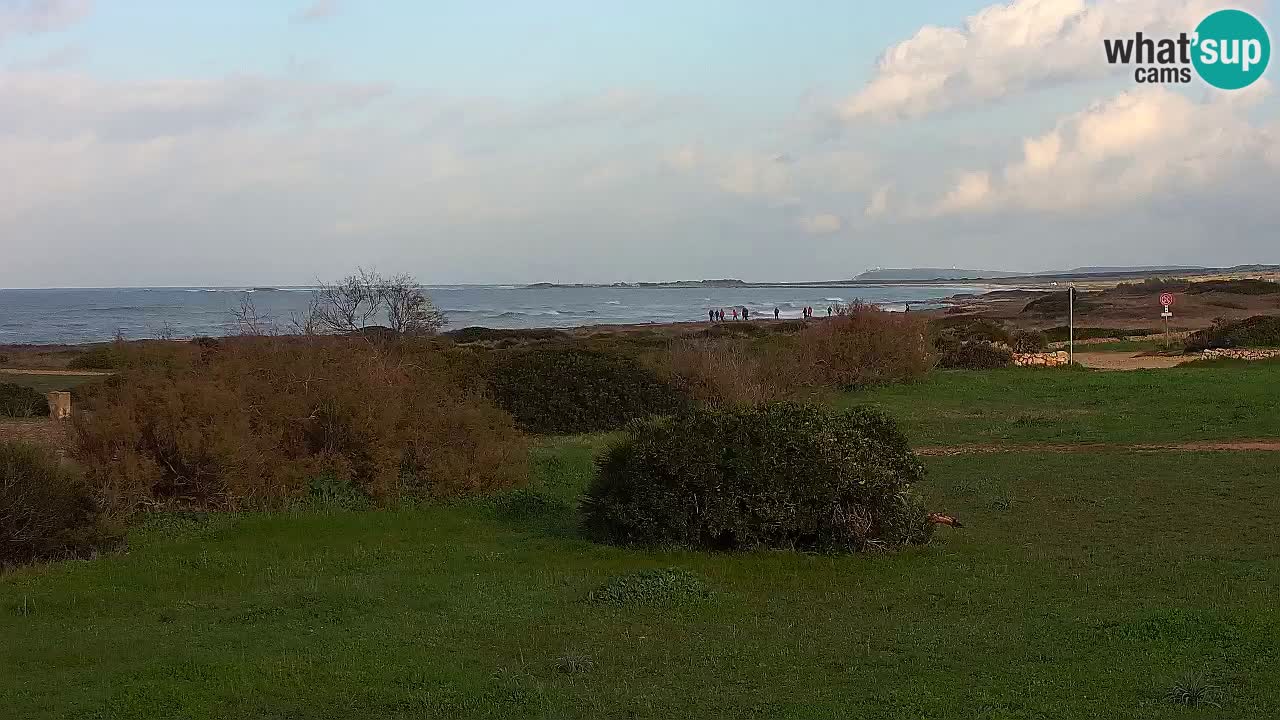 Mari Ermi beach | Is Arutas – Oristano